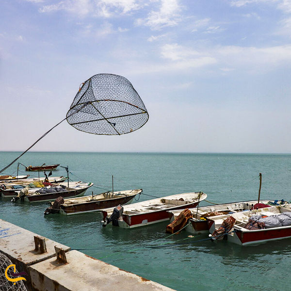 بندر دیلم؛ جاذبهای جالب در بوشهر