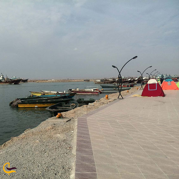 چند جاذبه تماشایی در بندر دیلم بوشهر