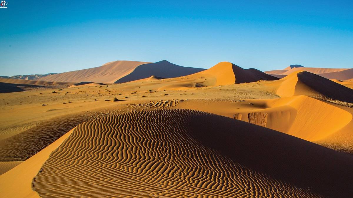 وسیعترین دشت ایران کجاست؟