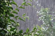 افزایش میزان بارش تابستانه در شمال کشور