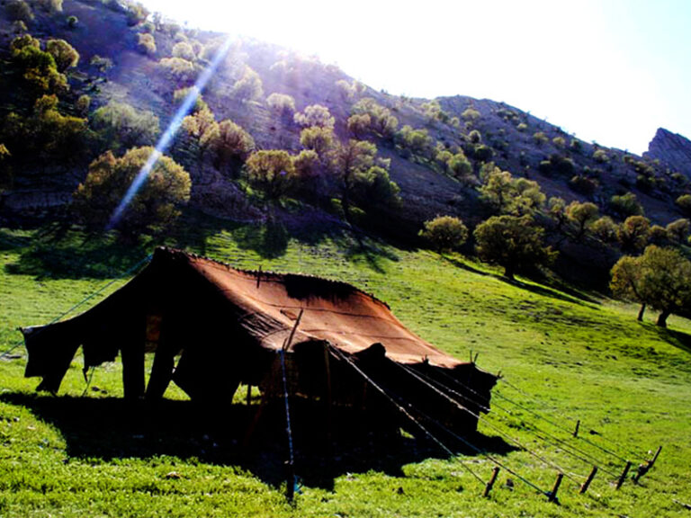 آبشارگردی در زیباترین آبشار چهارمحال و بختیاری / آبشار دره‌عشق؛ تماشایی و درخشان