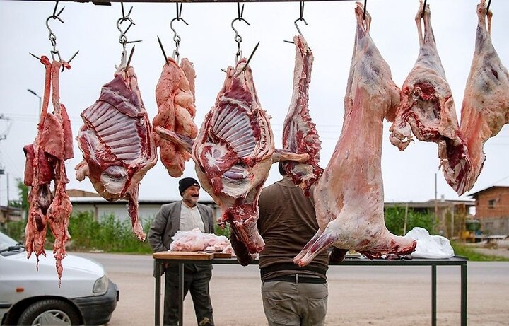 کاهش قیمت گوشت قرمز با واردات گوشت