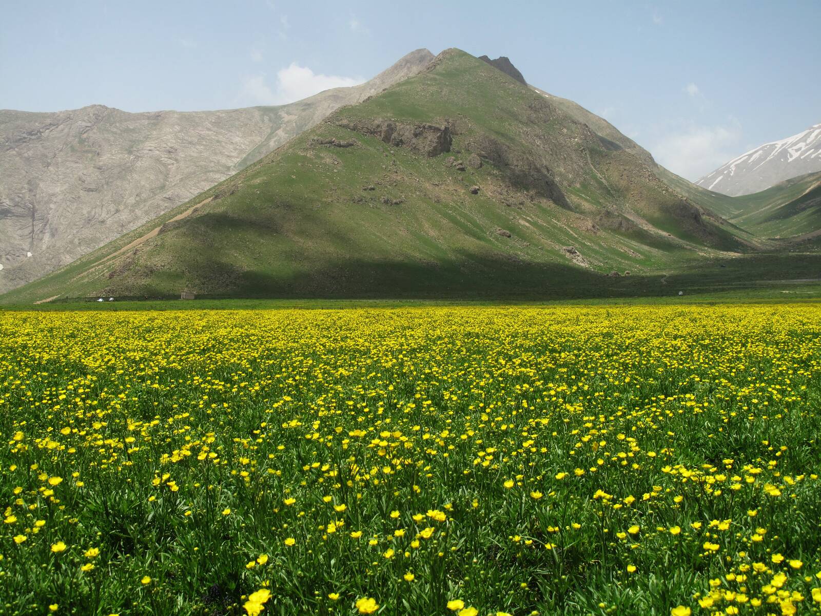 پارک ملی لار؛ تماشایی‌ترین جاذبه پلور دماوند