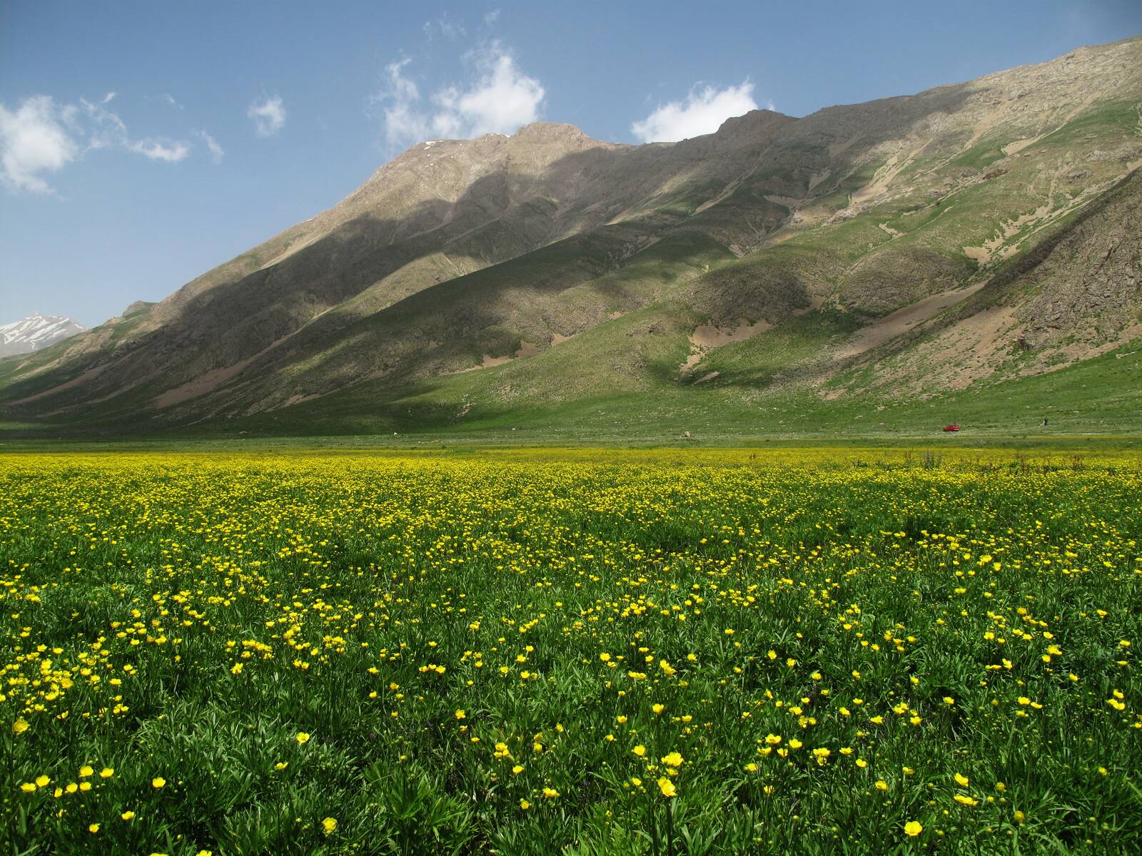 پارک ملی لار؛ تماشایی‌ترین جاذبه پلور دماوند