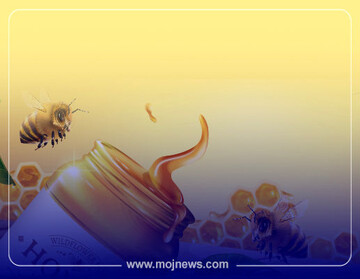 بزرگ ترین کشور تولید کننده عسل در دنیا کیست؟ | رتبه ایران در تولید عسل + عکس