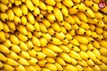 7 غذایی که شما را خوشحال می کند