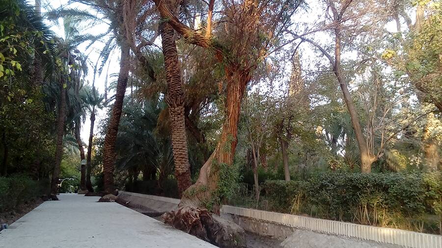 باغ گلشن؛ زیباترین جاذبهی طبس