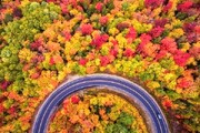 تصاویری رویایی از زیباترین جاده ایران در فصل پاییز