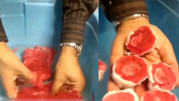 ویدئویی عجیب از ساخت گوشت مصنوعی با پلاستیک