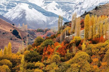 روستاگردی در روستای میگون / روستایی دیدنی در اطراف تهران