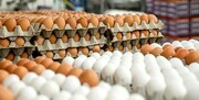 مصرف روزانه تخم مرغ در چهارمحال و بختیاری چند تن است؟