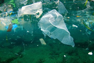 پلاستیک بلای جان آبزیان شده است