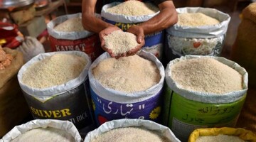 برنج پاکستانی درجه یک ۸۰۰ هزار تومان/ مصرف برنج پاکستانی ضرر دارد؟