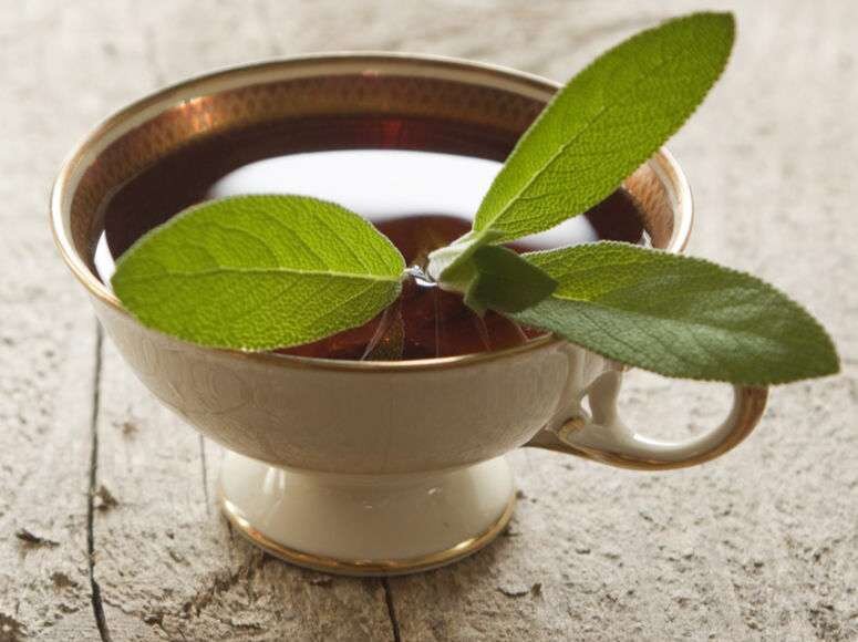 چای می‌نوشی؟ خواص چای‌های گیاهی رو می‌دونی؟