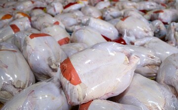 قیمت هر کیلو مرغ گرم ۷۳ هزار تومان شد