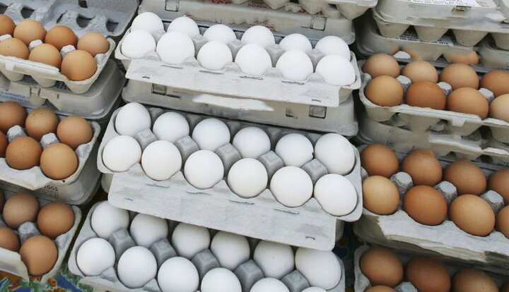 صادرات ۹۰هزار تن تخم مرغ 