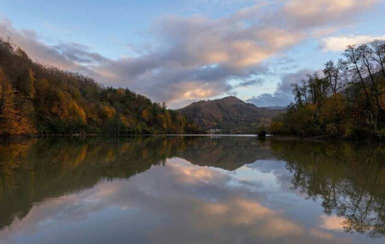 جنگل دالخالی؛ جاذبه ای مهیج در مازندران