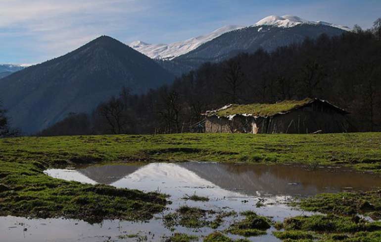 جنگل دالخالی؛ جاذبه ای مهیج در مازندران
