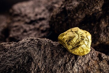کشف بزرگترین سنگ طلای جهان در این کشور فقیر + فیلم