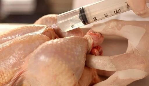 از کجا بفهمیم مرغ هورمونی است؟