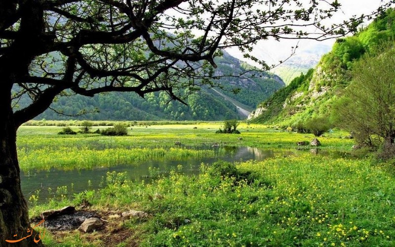 دشت دریاسر؛ جلوه ای بی همتا در مازندران