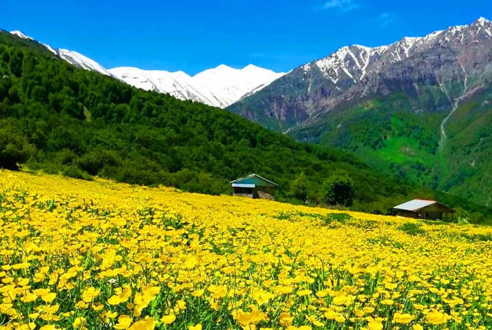 دشت دریاسر؛ جلوه ای بی همتا در مازندران