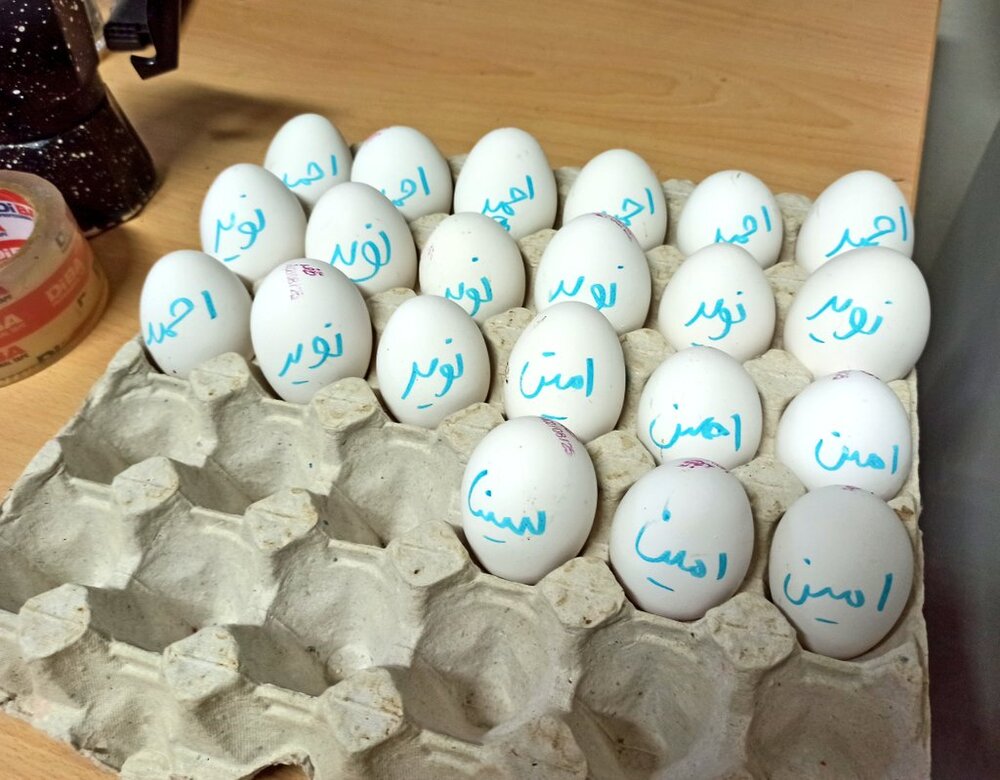 عکس بامزهای که از یک خوابگاه دانشجویی بیرون آمد