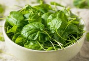 محافظت از بدن در برابر سرطان با مصرف این نوع سبزی