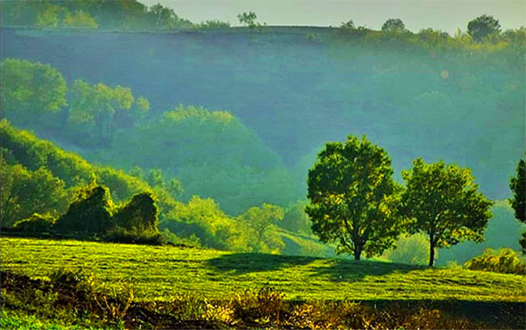 جنگل ارسباران کجاست؟