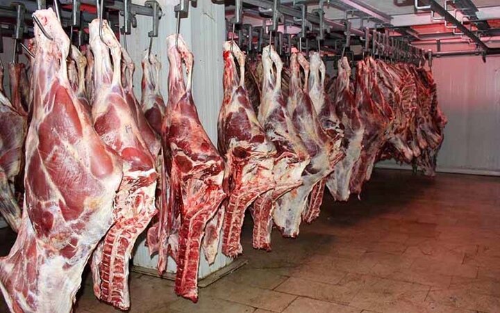 ریزش ۶۰ درصدی فروش گوشت قرمز / مردم دیگر توان خرید گوشت ندارد