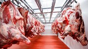 سرانه مصرف گوشت در کشور چقدر است؟