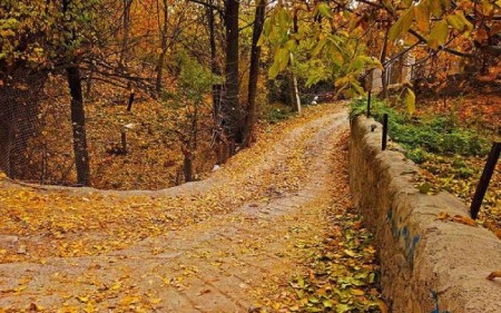 روستای شگفت انگیز برگ جهان
