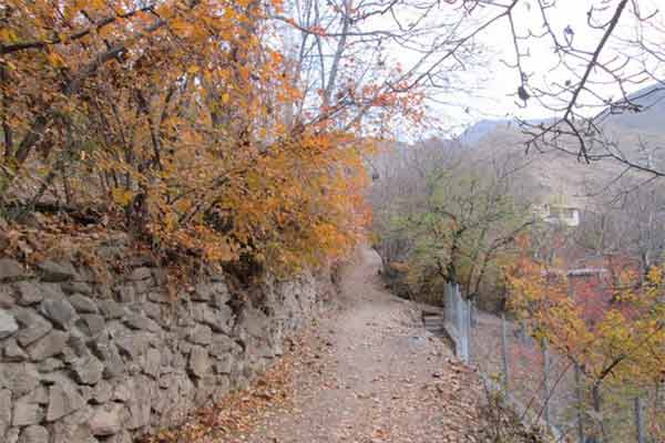 روستای شگفت انگیز برگ جهان