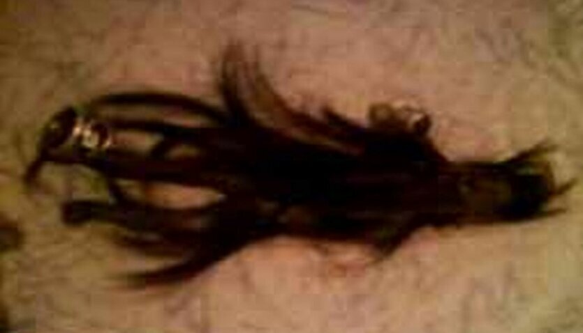 آدم کوچولوها