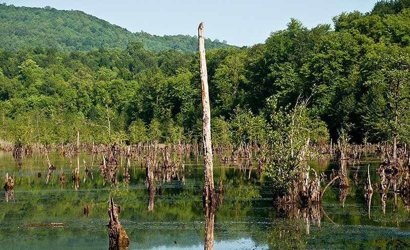 تالاب ارواح نوشهر کجاست؟