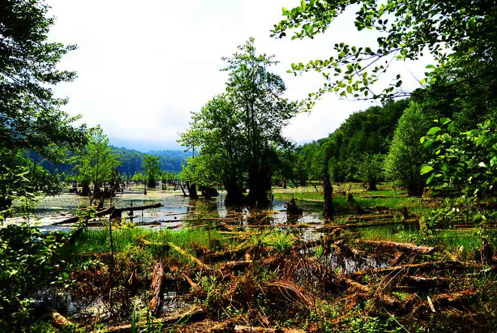 تالاب ارواح نوشهر کجاست؟