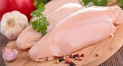 افزایش قیمت مرغ بسته بندی/ نیم کیلو مرغ ۷۰ هزار تومان!