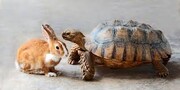مسابقه جالب خرگوش و لاکپشت در دنیای واقعی! + فیلم