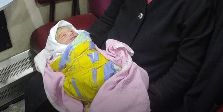 تولد نوزاد عجول در قطار «درود - اندیمشک»