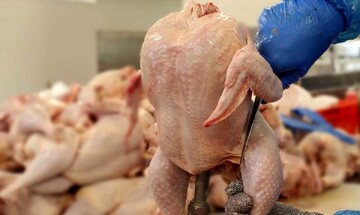 افزایش دوباره قیمت مرغ و تخم مرغ در بازار / هر کیلو مرغ ۸۳.۸۰۰ تومان
