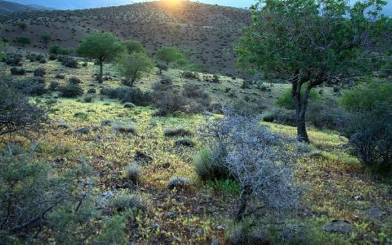 ۳ جاذبه طبیعی و تماشایی در اطراف شیراز