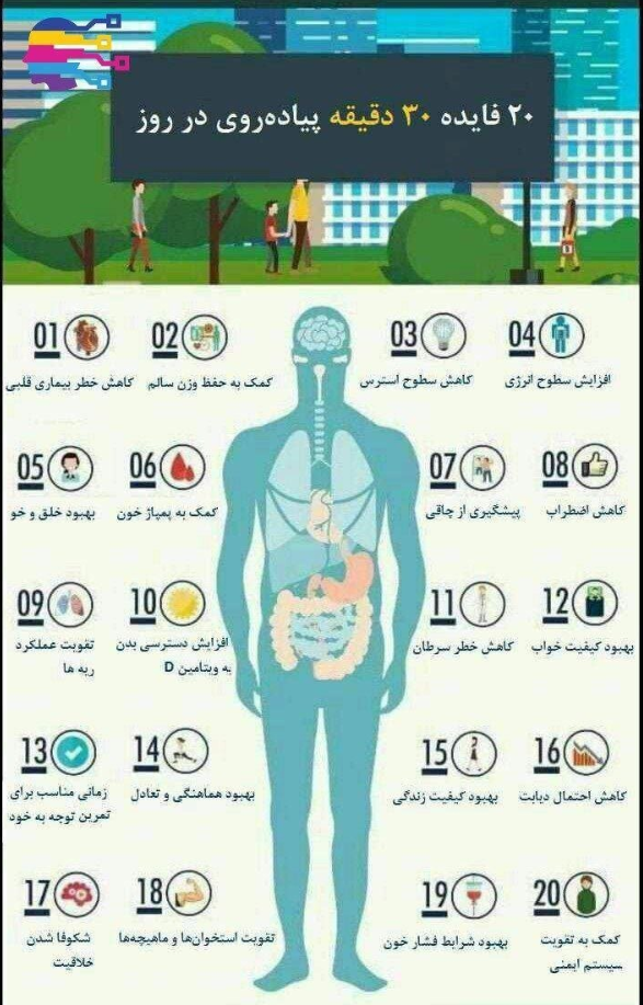 ۲۰ فایده سی دقیقه پیاده روی در روز + اینفوگراف