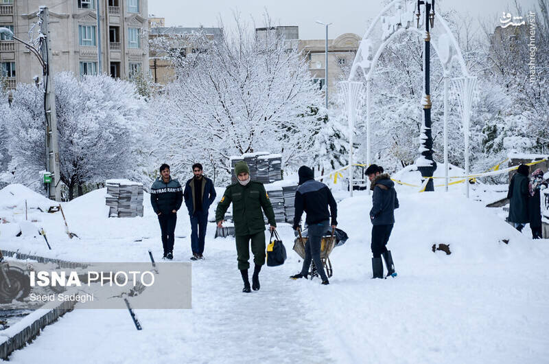 تبریز سفیدپوش شد | بارش سنگین برف پاییزی در تبریز + عکس
