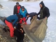 پیکر ۵ کوهنورد مفقود شده در اشترانکوه پیدا شد