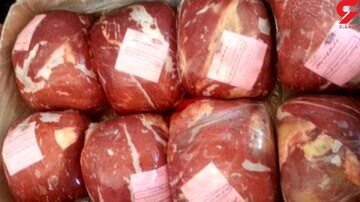 فروش عجیب گوشت اسب بیمار در جهرم! + ماجرا چیست؟