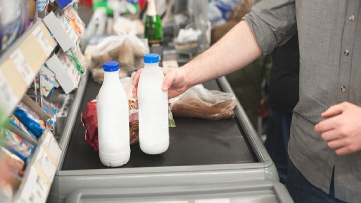  قیمت انواع شیر شیرمحلی و پاستوریزه در بازار / شیر شتر مبلغ ۳۴۰ هزار تومان