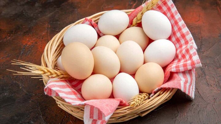 قیمت جدید تخم‌مرغ در بازار / هر شانه تخم مرغ ۲۰ عددی چند؟ 