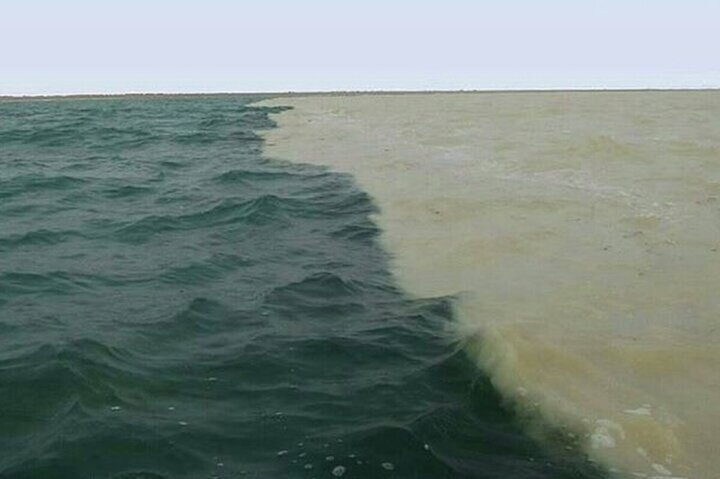 مرگ چهار جوان شیرازی درپی غرق شدن در دریا + جزییات حادثه