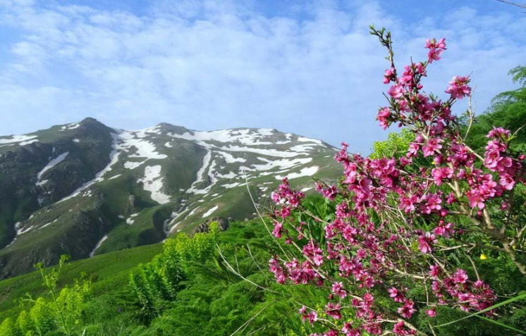 زیباترین جاذبه‌های گردشگری دیواندره کردستان کجاست؟
