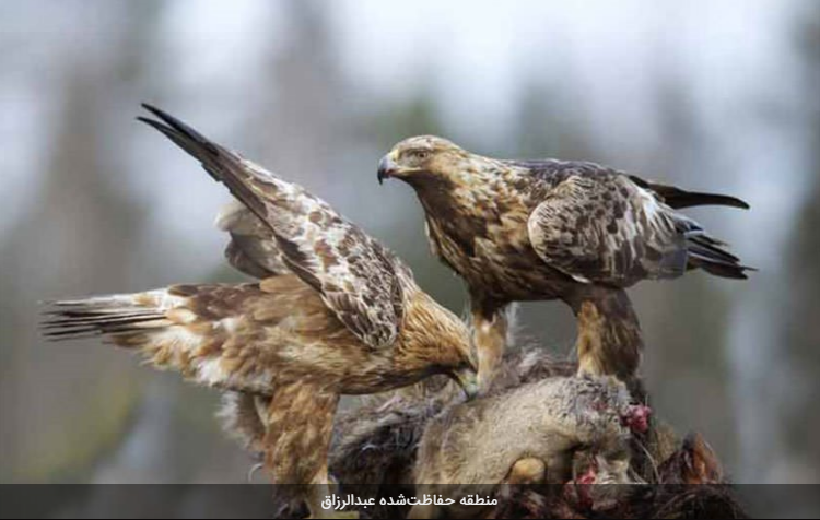 زیباترین منطقه حفاظت شده سقز